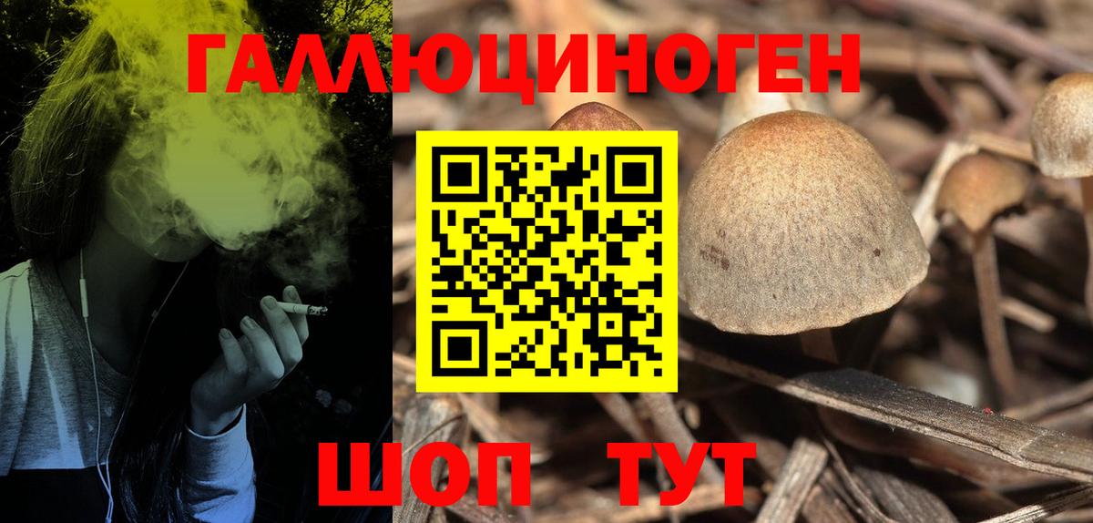 Вязьма  Галлюциногенные грибы Psilocybine cubensis  Вход с VPN 